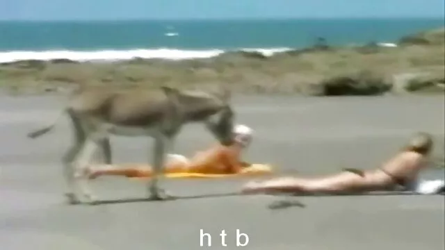 Sexy drôle